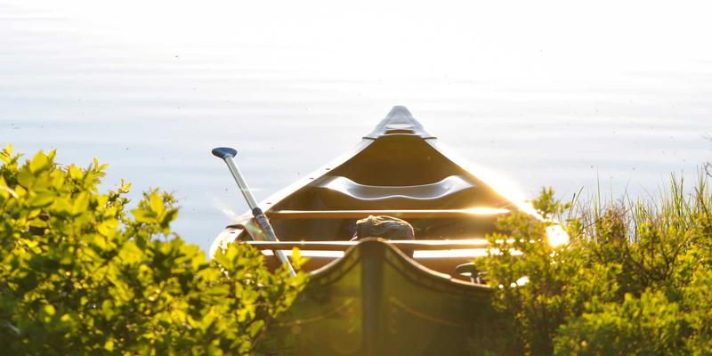 Perbedaan Operator Delegasi Resmi dan Open Trip Biasa: Jangan Sampai Salah Pilih