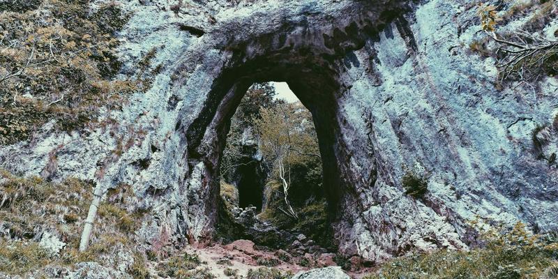 Study Tour vs Youth Exchange vs Student Placement: Mana yang Paling Cocok untuk Anak Anda?